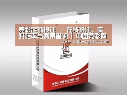 项目名称十三